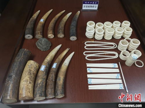 水口海關(guān)向林業(yè)局移交走私動物制品，加強(qiáng)生物資源保護(hù)執(zhí)法合作